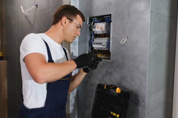 Best Electric Panel Repair  in Vineyard, UT